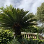 Il giardino di Villa Meridiana oggi